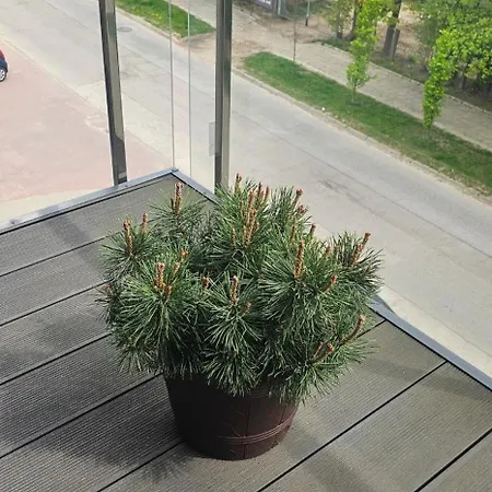 Apartament Na Kolarskiej Ostrow Mazowiecka Exterior photo