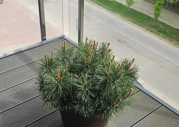 Apartament Na Kolarskiej